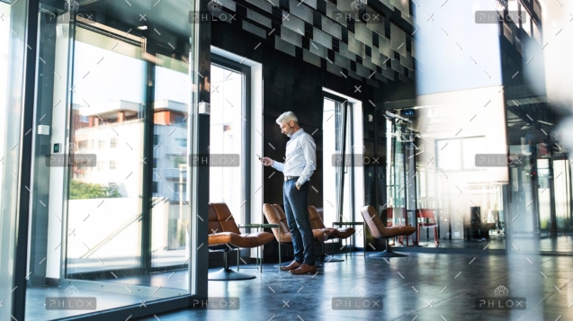 demo-attachment-34-Mature-businessman-with-smartphone-in-the-office.